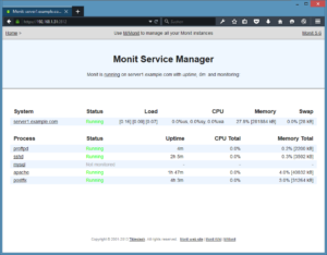 monit_overview